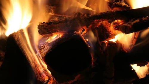 Vibrant Campfire Flames in Dark Night