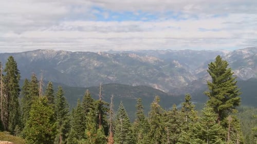 Mountain Range View with Evergreen Trees