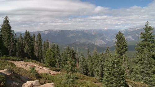 Mountain Range Forest Wilderness Landscape