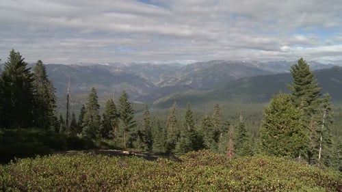 Mountainous Landscape with Evergreen Trees and Blue Sky