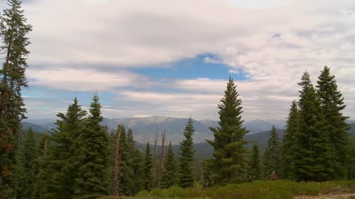 Green Forest With Mountains and Cloudy Sky