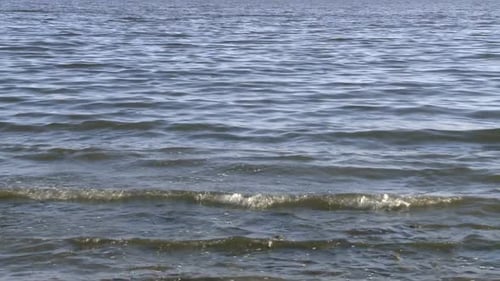 La mer de Salton en Californie