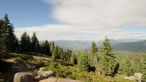 Clouds Passing Over Forest