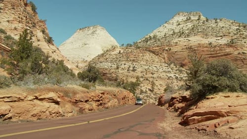 Traffic In National Park - Clip 1