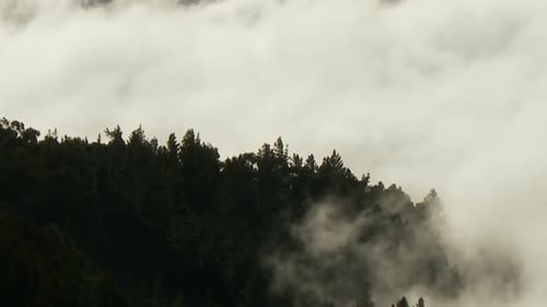 Nubes, montañas y árboles - Clip 2
