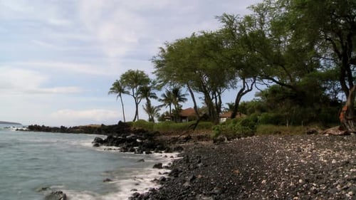 Tropical Beach 3