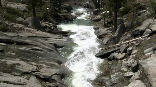 Wald Stream 10