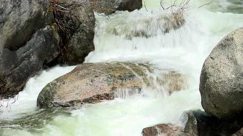 Wald Bach 3