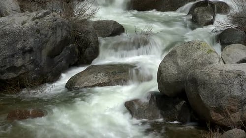 Wald Stream 5