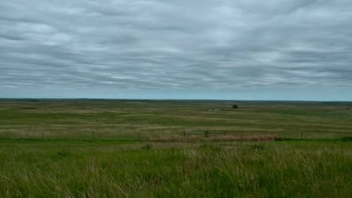 Scenic Meadow 1
