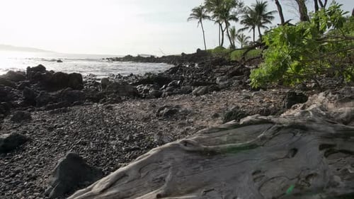 Hawaiian Beach