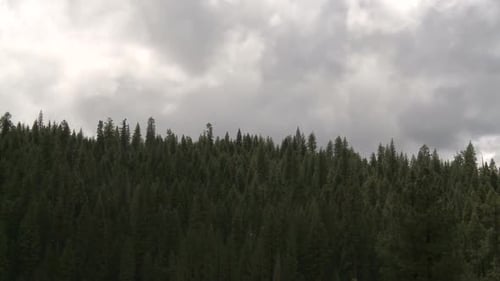 Yosemite Mountain: Escena 6