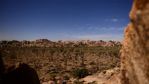 Joshua Tree bei Nacht Vollmond — Zeitraffer — Dolly Pan — 4k 7
