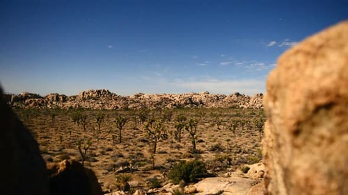 Joshua Tree At Night Full Moon - Time Lapse - Slider Pan 13