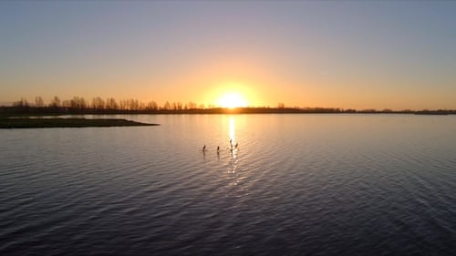 Voler vers le coucher du soleil au-dessus d'un lac