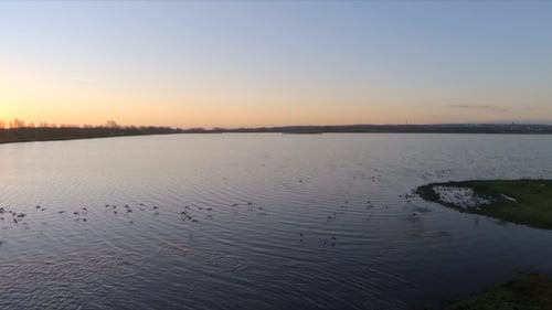 Aerial Over Wetlands