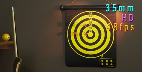 Target Dartscheibe