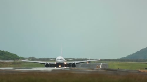 Airplane Landing on Tropical Airport Runway During Day