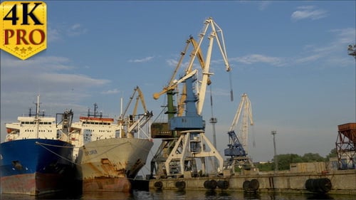 The View Of The Harbour Port