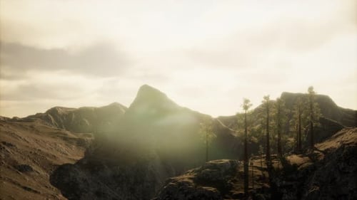 Cliff with Trees and Light of the Sun