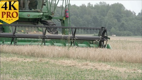 A Wheat Harvester Machine Rolling on the Field