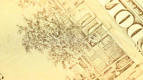 US Dollar Currency 459