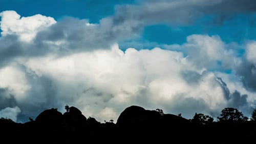 Landscape 5
