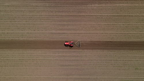 Agricultural Red Small Tractor in the Field Plowing Works in the Field