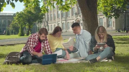 Four Concentrated Caucasian Students Studying Together on Sunny Summer Meadow. Focused Young Men and
