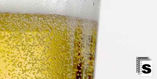Close Up of Bubbles Rising in a Beer Glass