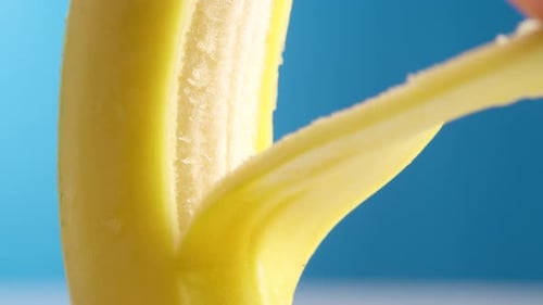 Banana Close-up being Peeled Against Blue Background