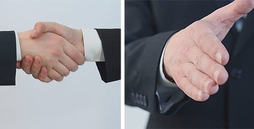 Business Handshake Close Up