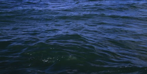 Sea