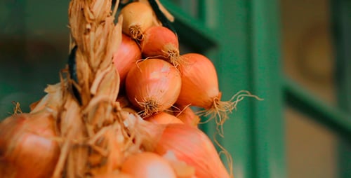The Onion Store