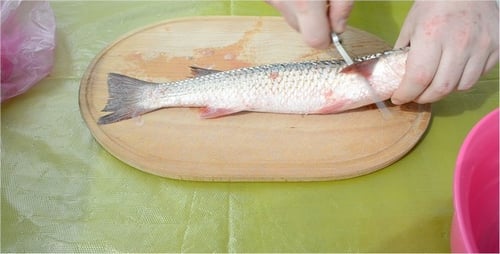 Fisch 2