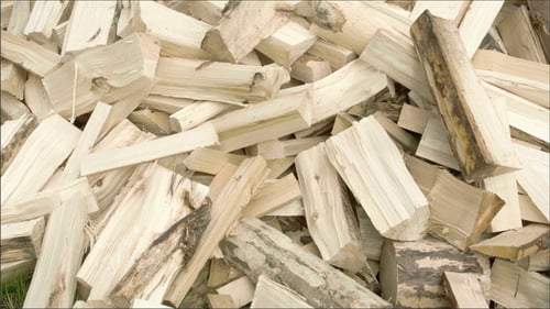 A Heap of Newly Axed Firewoods