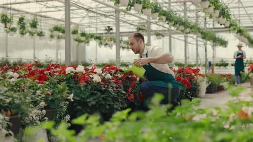 Dos trabajadores del jardín están trabajando