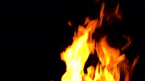 Vibrant Flames Dancing Against Dark Background