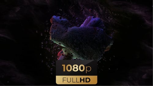 Abstract Organic Nebula with Floating Particles