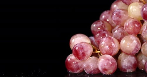 The Red Grapes Dripping Water.