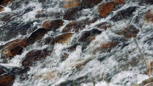 Stream Flows in Stone Riverbed - Closeup