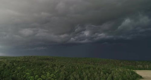 Storm Clouds Rolling over Forest Landscape