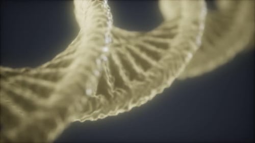 Animated DNA Double Helix Structure Rotating Loop Background