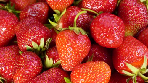 Zeitlupenrotation von saftigen roten reifen Bio-Erdbeeren