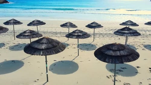 Umbrellas at Sandy Beach Sunny Weather