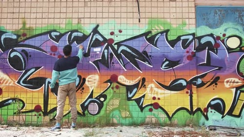 Young Adult Painting Graffiti on a Brick Wall
