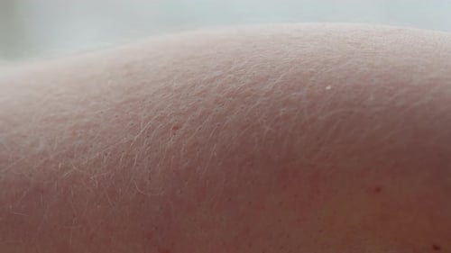 Macro Shot of Human Skin and Hair