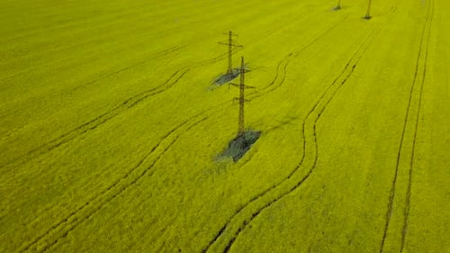 Aerial View of Yellow Field with Power Lines