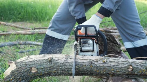 Mann sägt einen Baumstamm mit einer Kettensäge auf einem Hintergrund aus grünem Gras