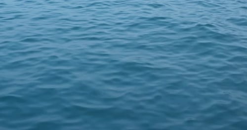 Sea surface wave